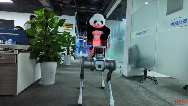 南宫NG28相信品牌的力量“Go Go”动身！“成都造”智能导览机械狗首秀成都世(图1)