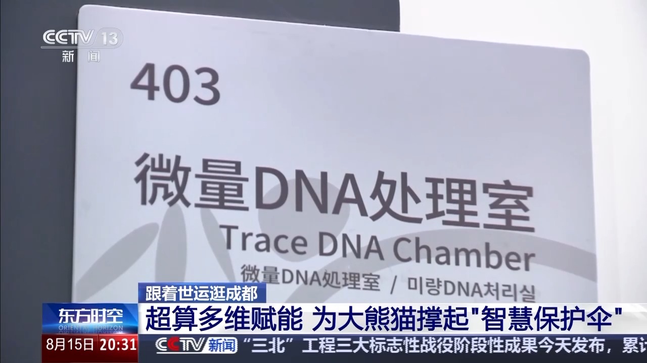 南宫NG28相信品牌的力量无人机竞速 机械狗圈粉 成都交出立异世运答卷(图6)